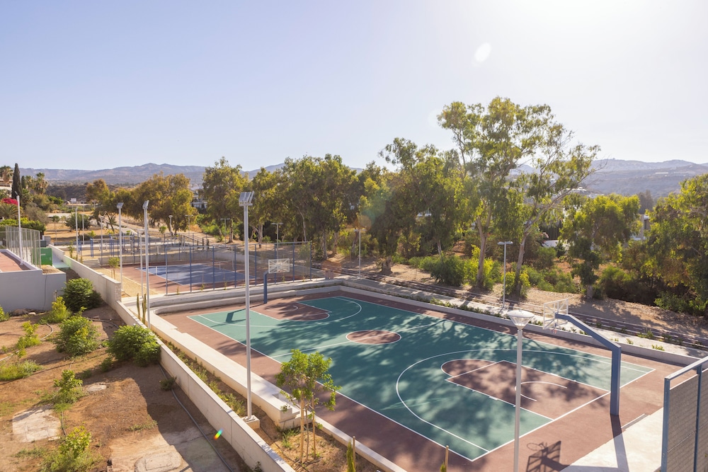 מראה חיצוני