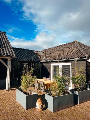 De Appelhoeve - last minute hotel in Terschuur