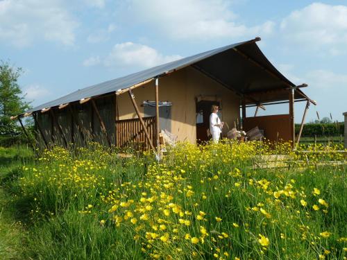 Tall Trees Glamping in Glastonbury, United Kingdom