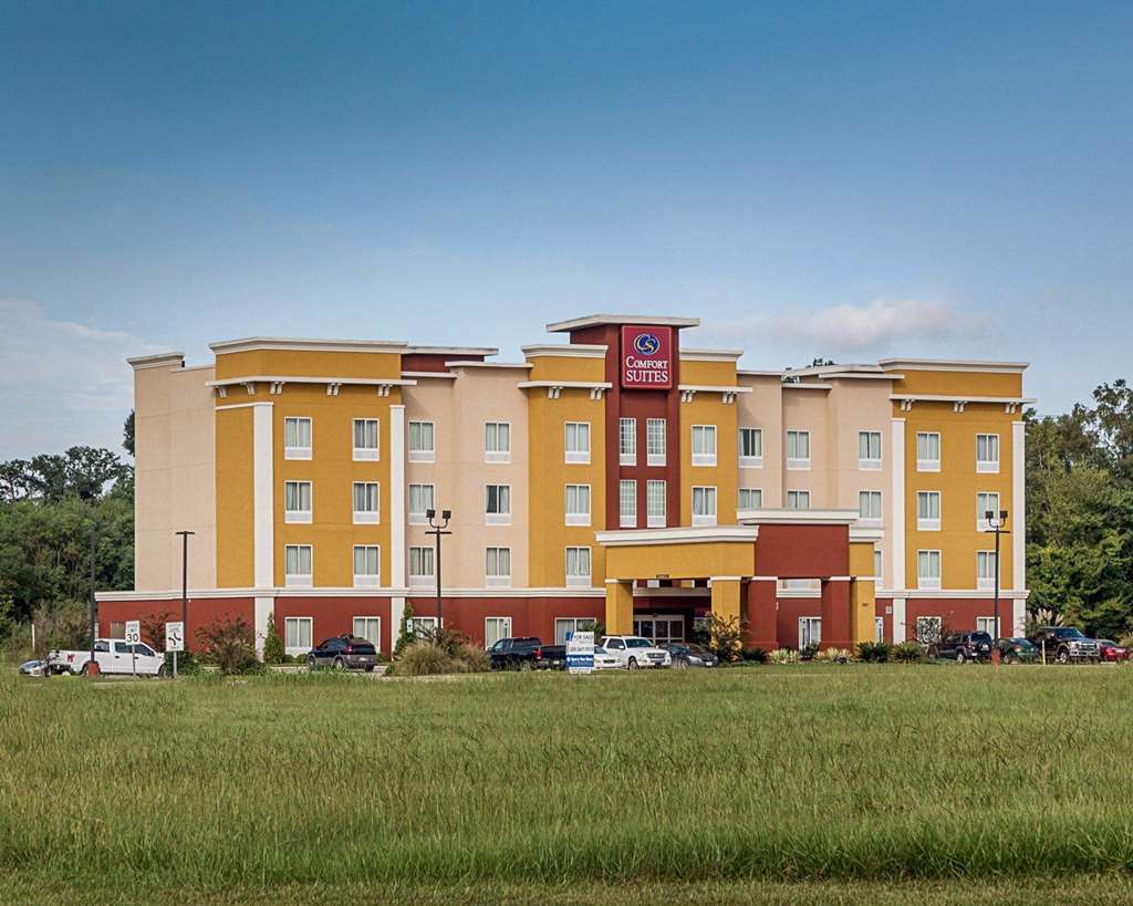 Comfort Suites near Tanger Outlet Mall — hotel in Gonzales