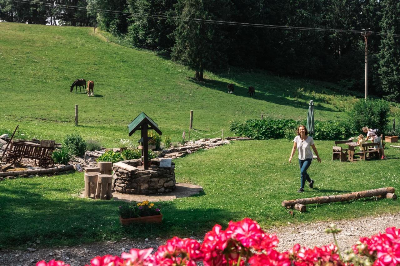 Penzion La Baita in Horni Branna, Czech Republic
