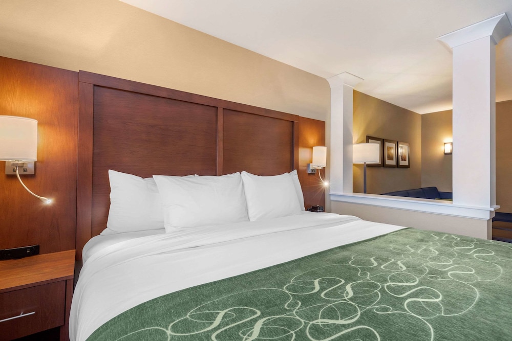 Comfort Inn & Suites Schenectady Scotia - photo 19