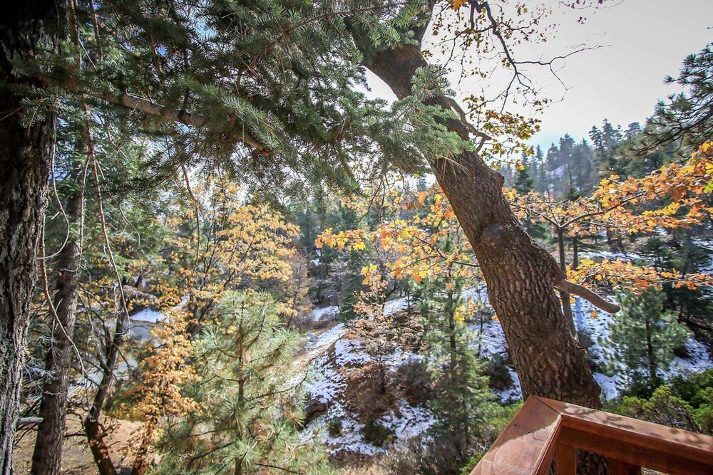 Summit Comfort 1571 by Big Bear Vacations - photo 24