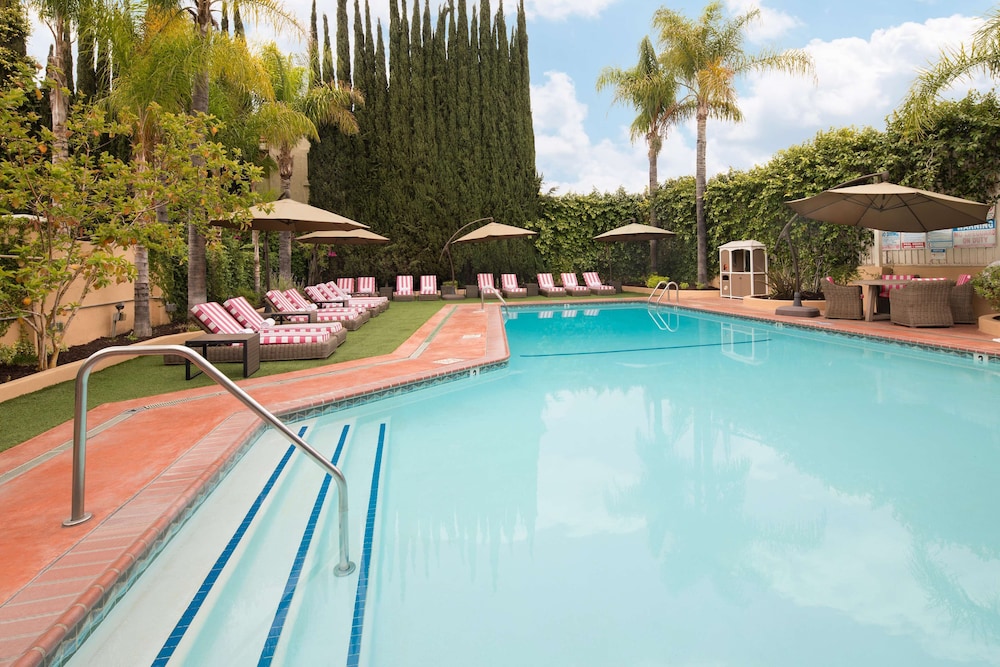 Hollywood Hotel - photo 23