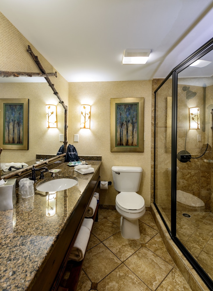 Lanier Islands Legacy Lodge - photo 29