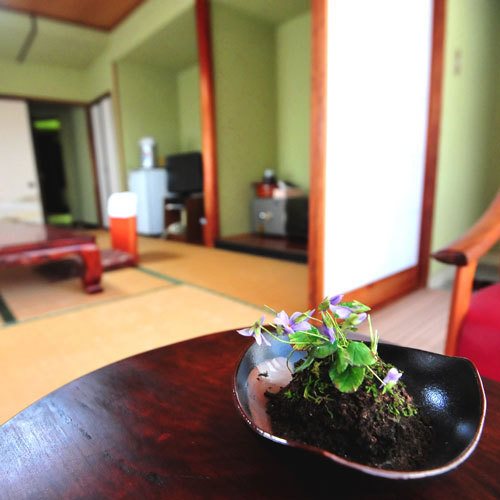 Ryumeikan — hotel in Nakanojomachi
