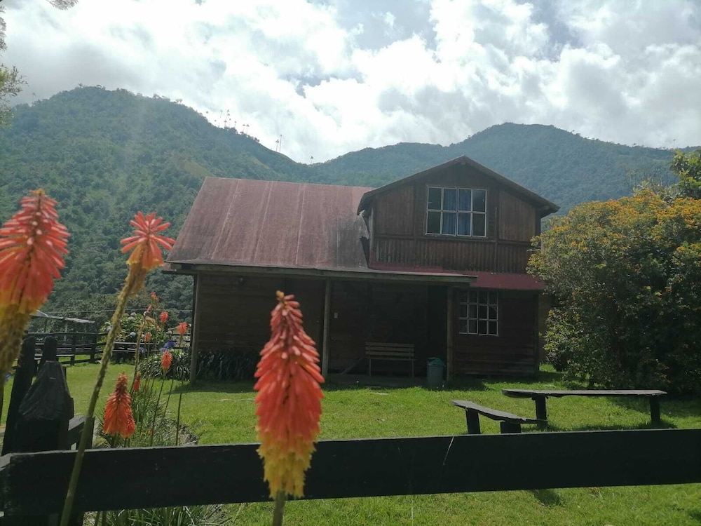 Palmas de Cocora - last minute hotel in Salento