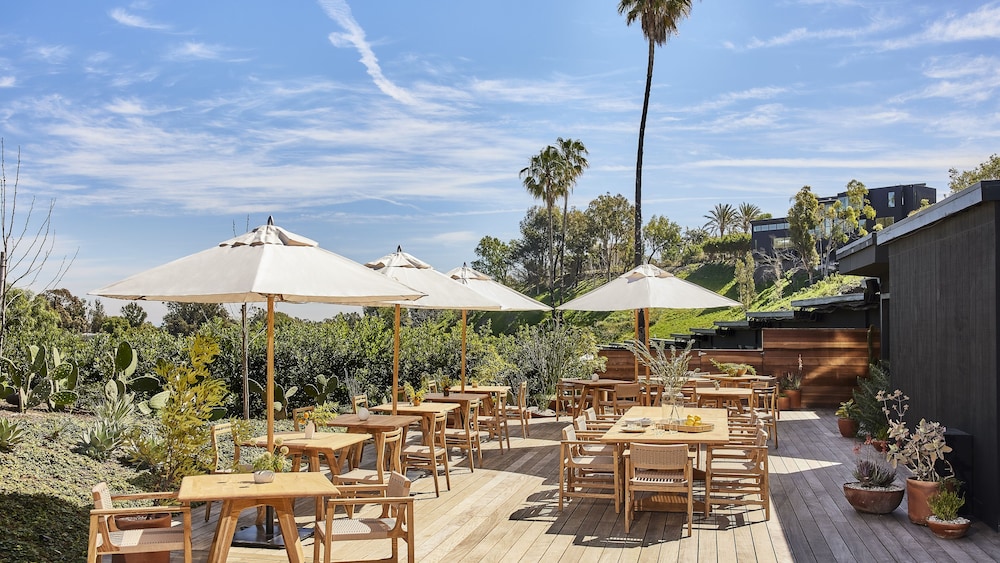 Hotel June Malibu - photo 47