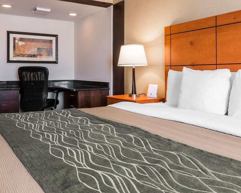 Comfort Inn Metro Airport - photo 13