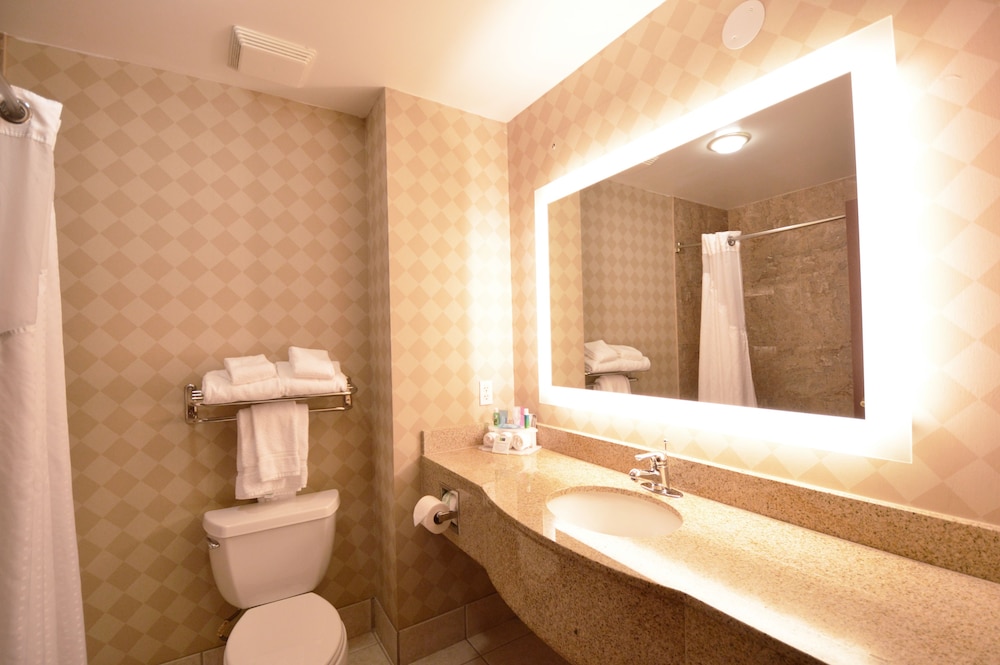Holiday Inn Express Toledo Oregon by IHG - photo 10