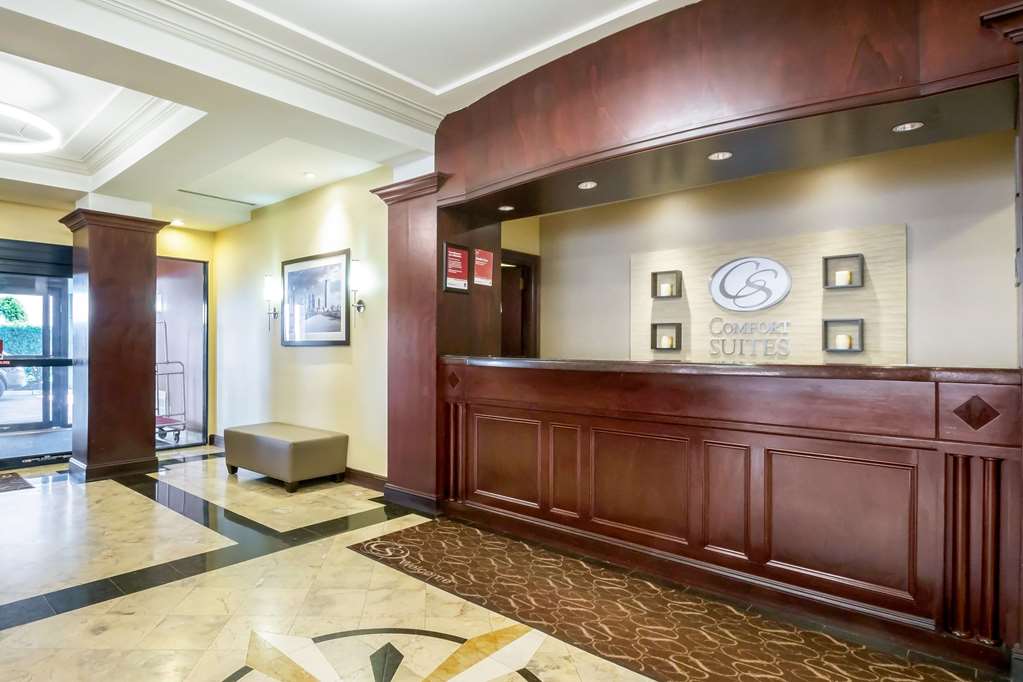 Comfort Suites at Woodbridge — Avenel — photo 5