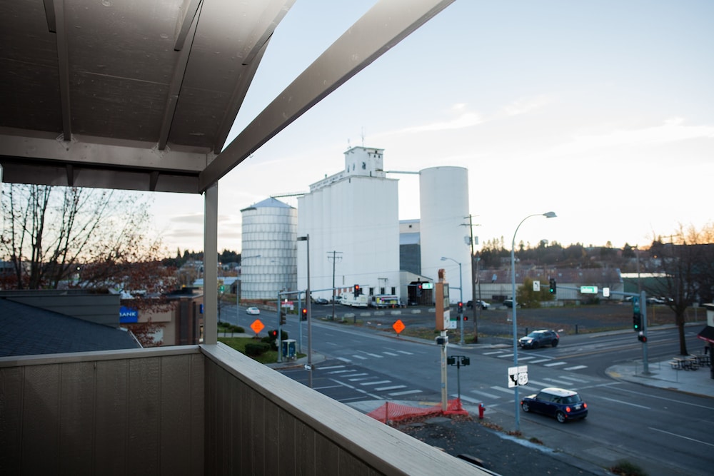 Monarch Motel - photo 28