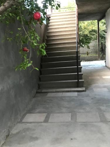 Guesthouse Kistauri