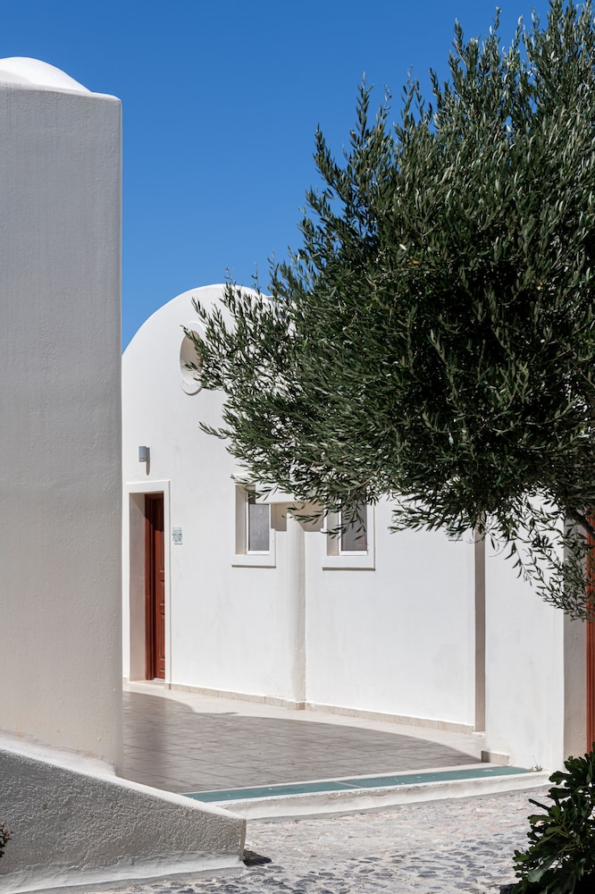 מראה חיצוני