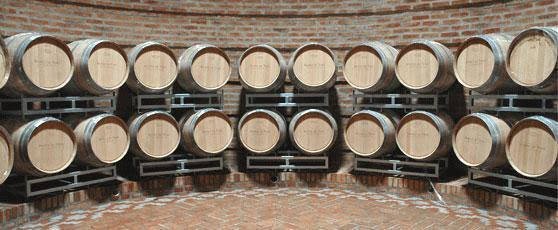 Valle Perdido Wine Resort — Neuquen — photo 5