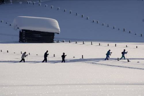 Alpenchalet Jagdhof in Flachau, Austria