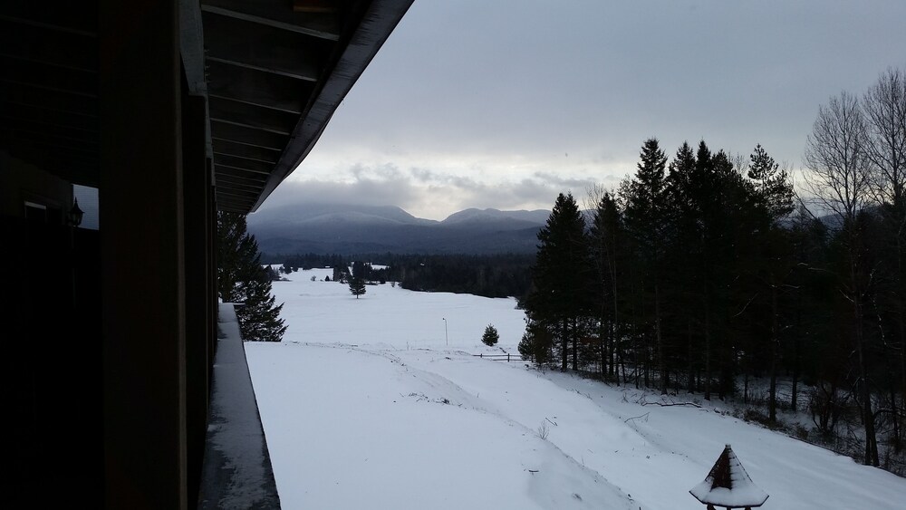 Alpine Motor Inn - photo 3
