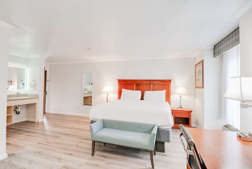 Ramada by Wyndham Mountain View - photo 10