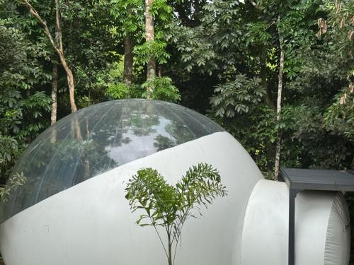 Bulle skys evasion in Unknown City, Martinique