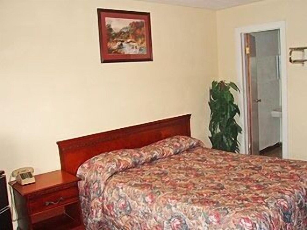 Star Motel - photo 14