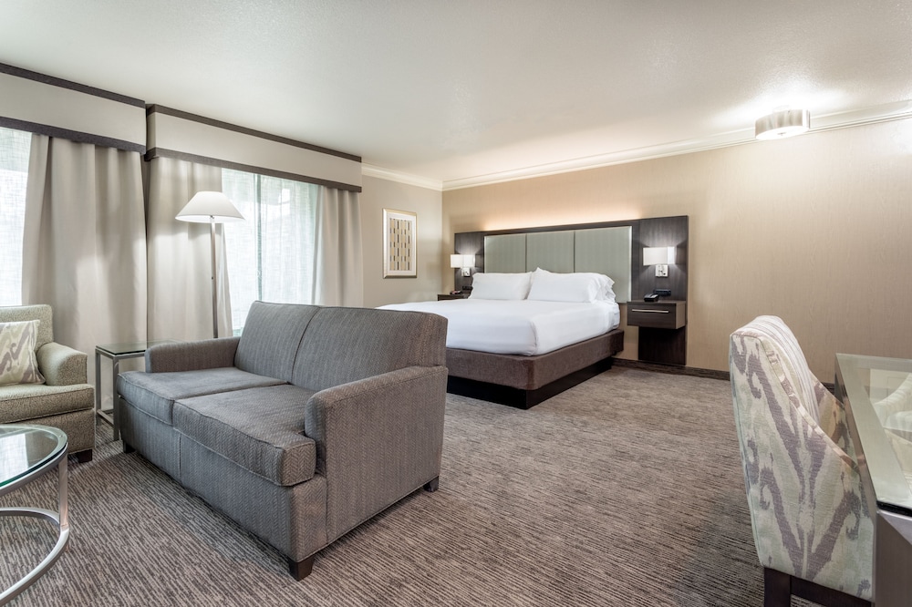 Holiday Inn Auburn an IHG Hotel - photo 5