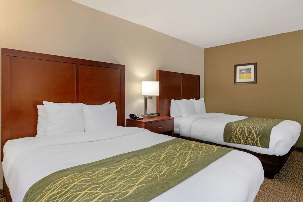 Comfort Inn Douglasville Atlanta West - photo 9