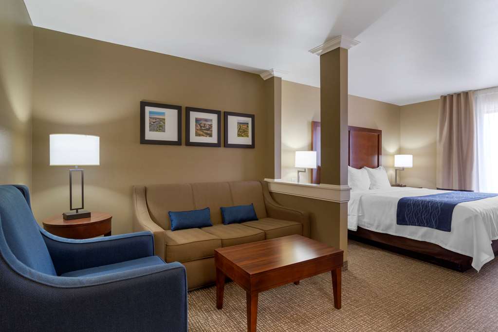 Comfort Inn & Suites Mandan Bismarck - photo 17