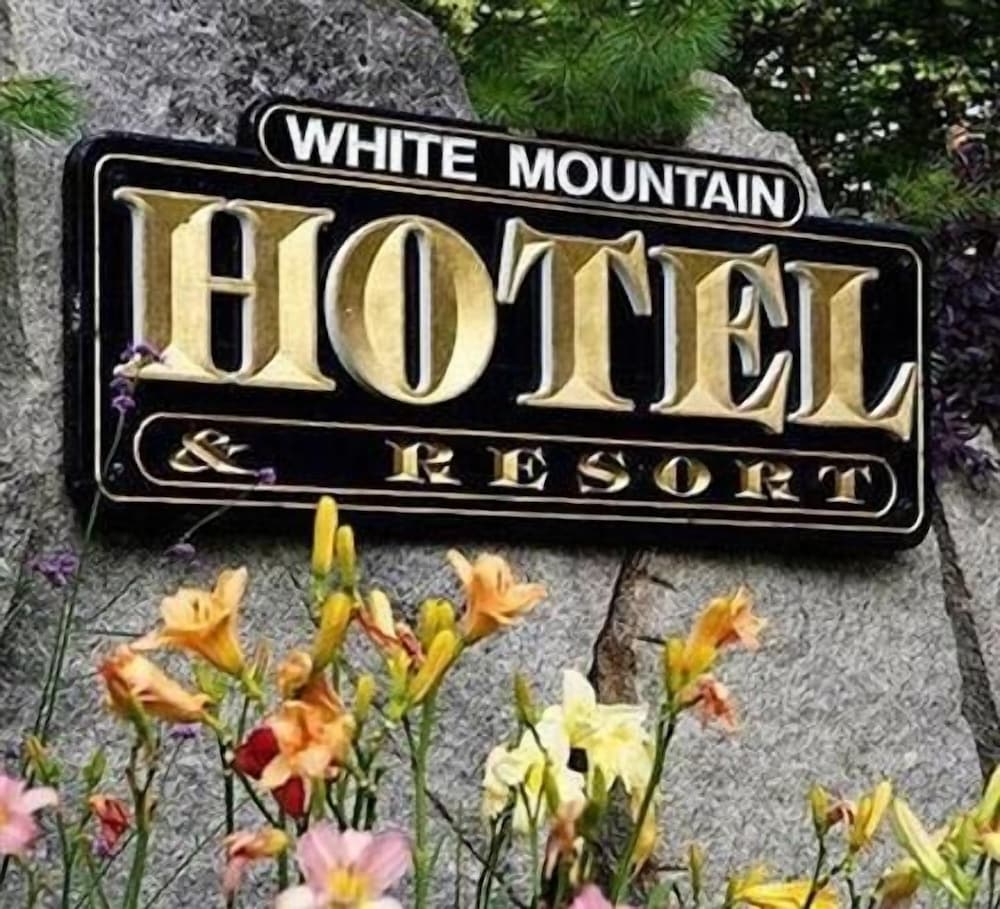The White Mountain Hotel & Resort - photo 39