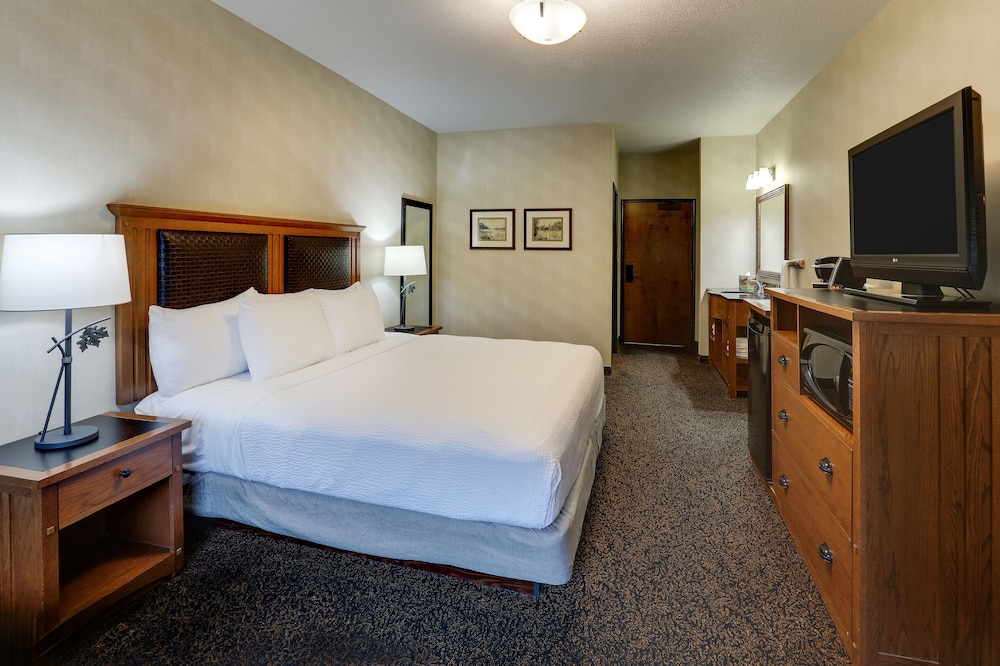Stoney Creek Hotel Sioux City - photo 10