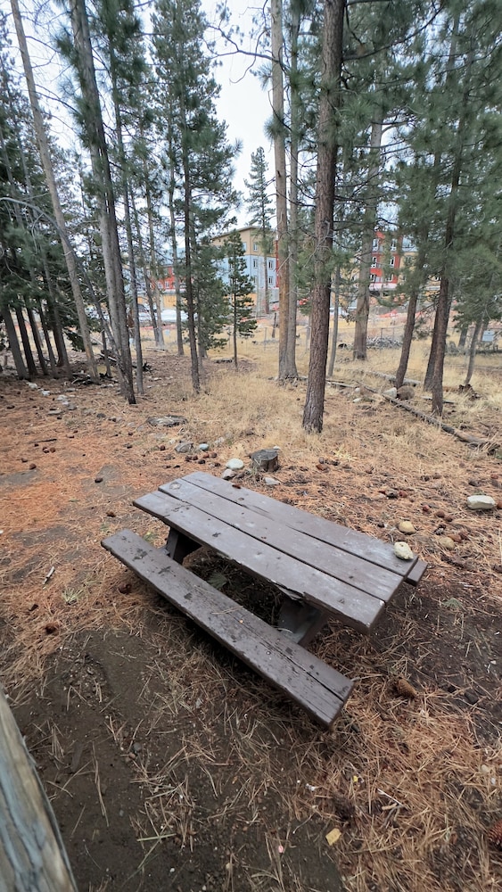 Cinnamon Bear Inn - photo 78