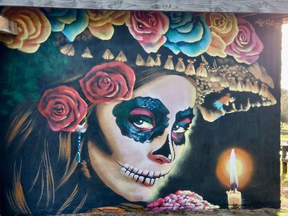 El Mezquite Hotel Mexicano Hab 1 la Catrina in Valle De Guadalupe, Mexico