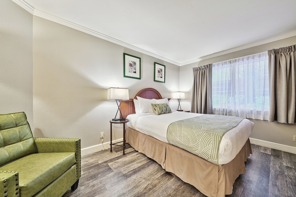 Forest Suites Resort at the Heavenly Village - photo 15