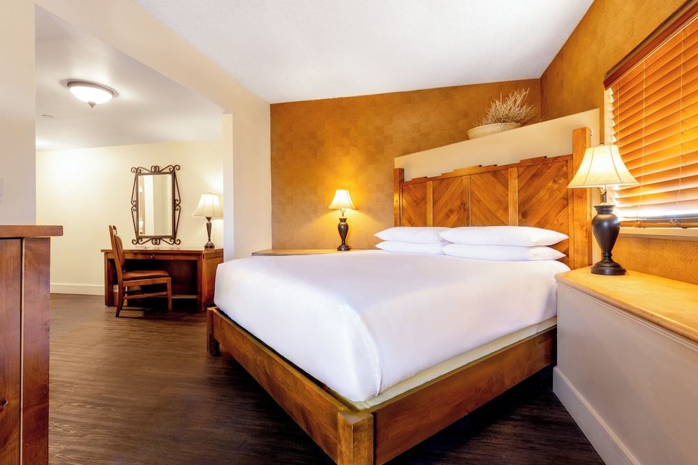 Eldorado Hotel & Spa - photo 28