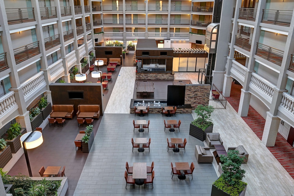 Embassy Suites by Hilton Colorado Springs - photo 52