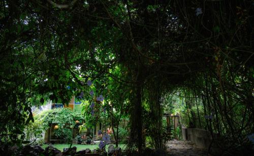 Anithya Kandy - carbon neutral hotel in Sigiriya