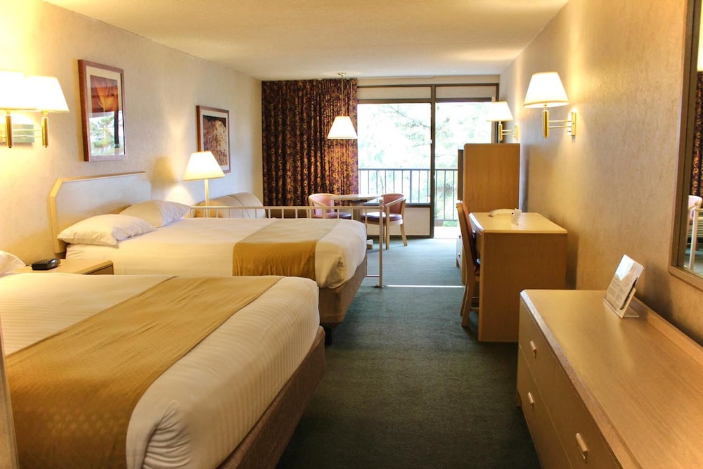 Impala Island Inn - photo 15