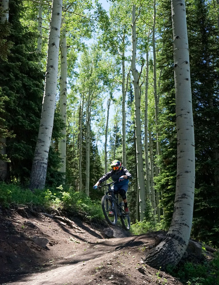 Powderhorn Lodging - photo 26