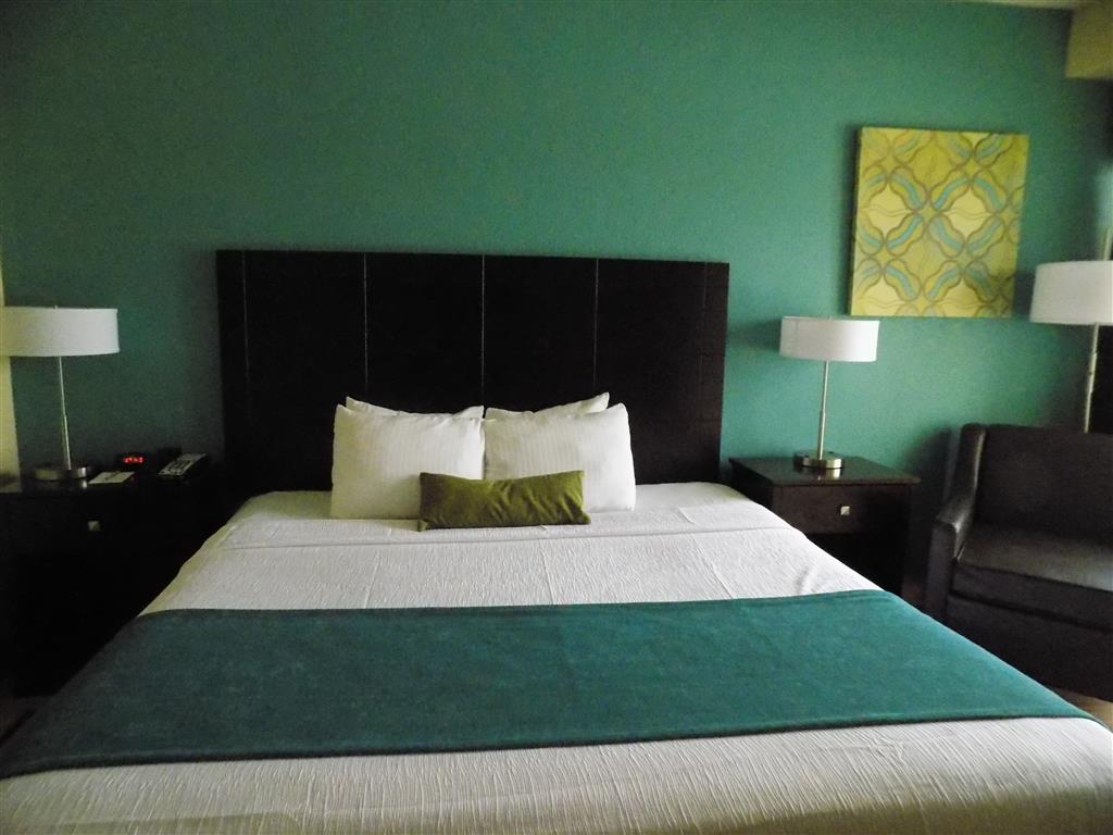 Best Western Plus Deerfield Beach Hotel & Suites - photo 20