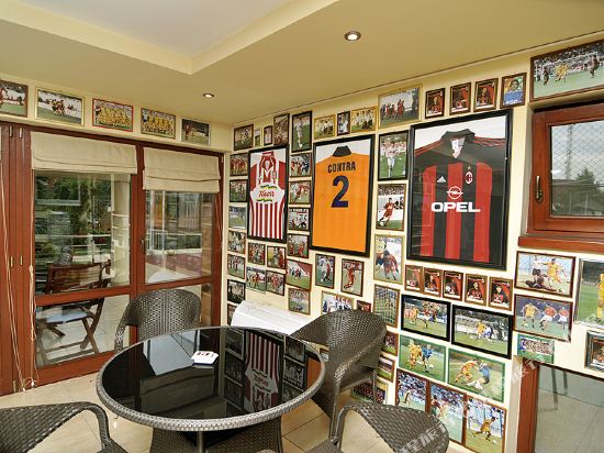 Villa Vitoria — Timisoara — photo 2