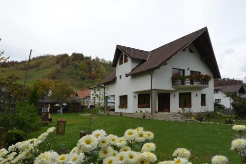 Bucuria Muntelui in Bran, Romania