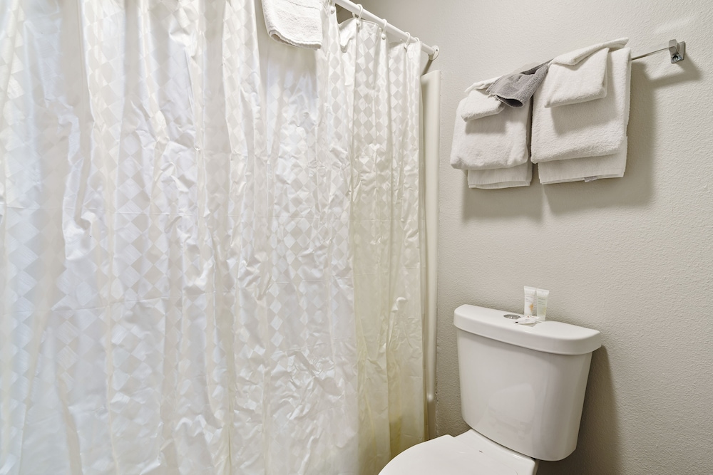 White Wing Lodge - photo 4