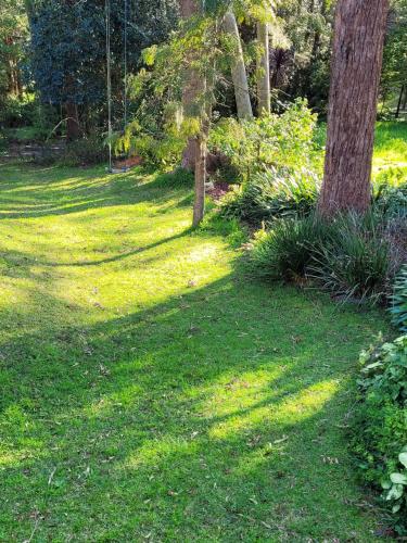 Garden Rest — New Lambton — photo 3