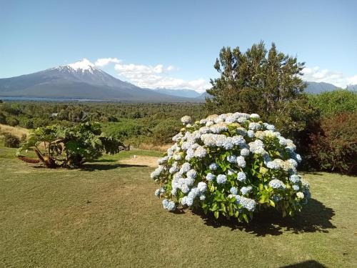 Topahue — La Ensenada — photo 5
