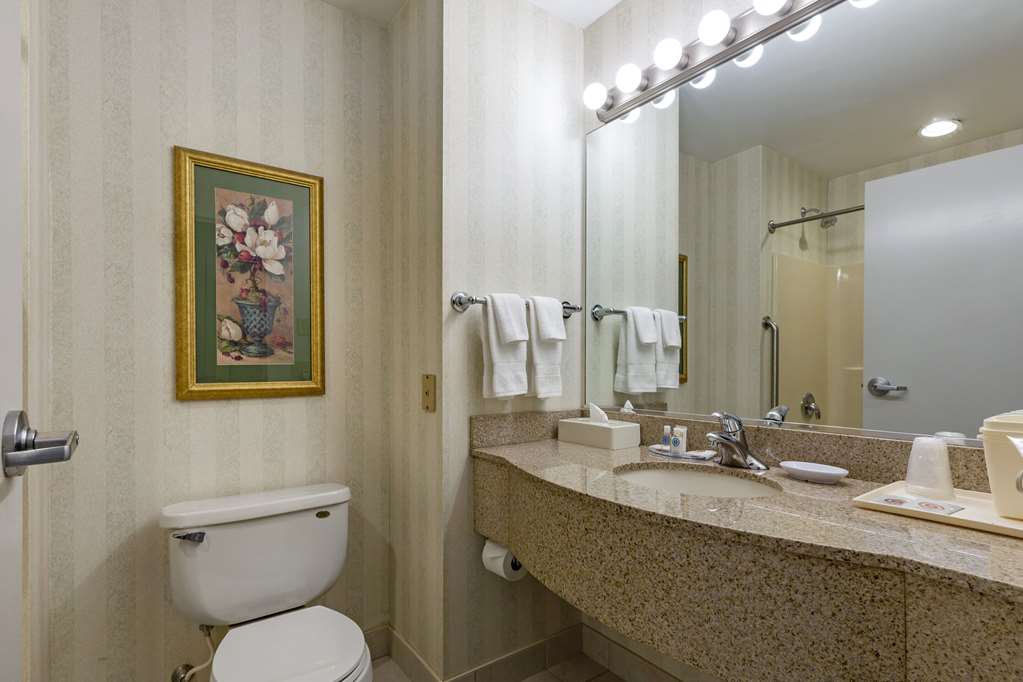 Comfort Inn & Suites East Greenbush Albany - photo 21