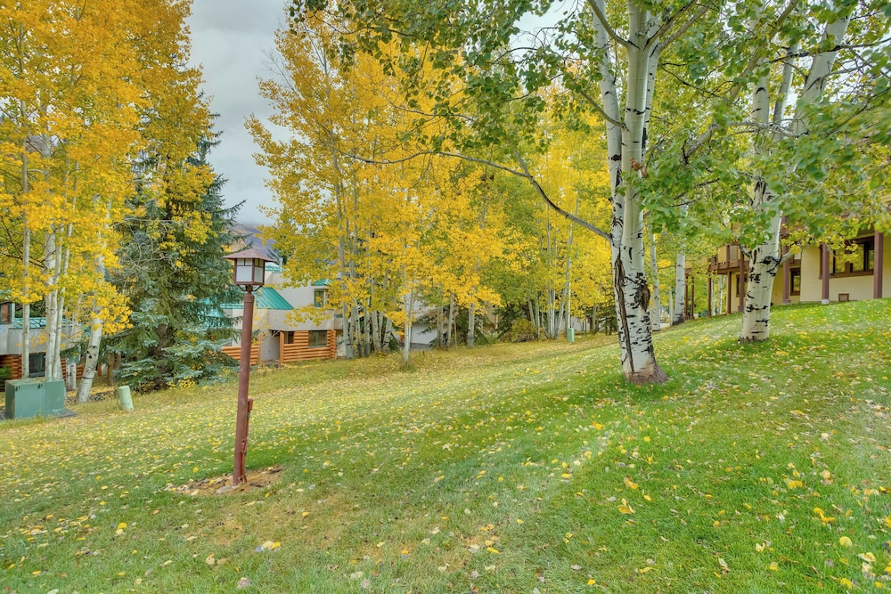 Vail Condo about 4 Mi to Vail Mountain Resort - photo 15