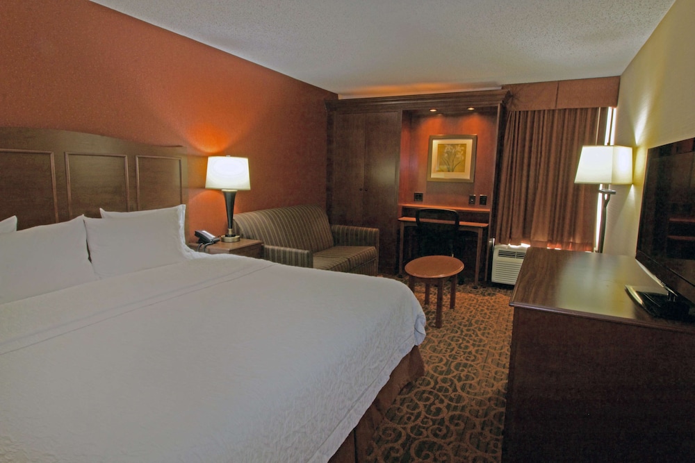 Hampton Inn Norfolk Chesapeake - photo 12