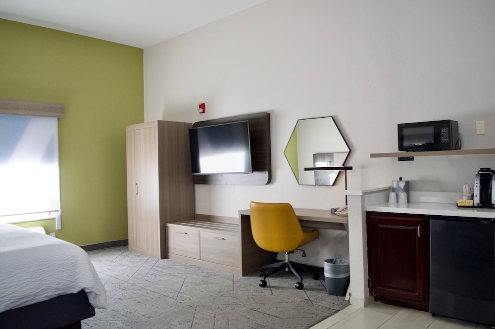 Holiday Inn Express & Suites College Station by IHG - photo 26