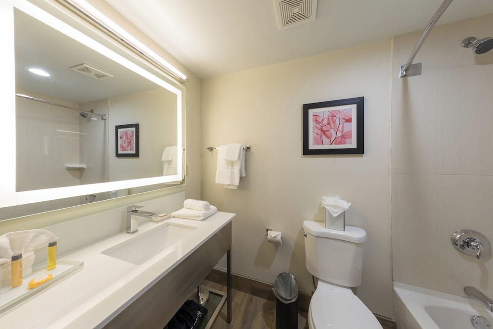 Holiday Inn Brookfield Milwaukee by IHG - photo 32