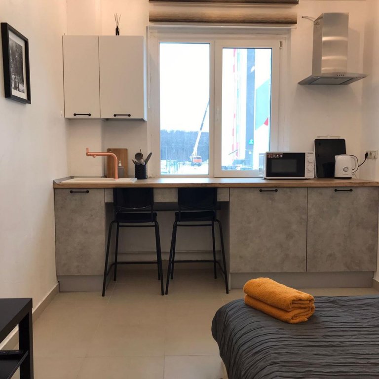 Komfortnaya Studio Apartments 21040193 — Novaya Usman