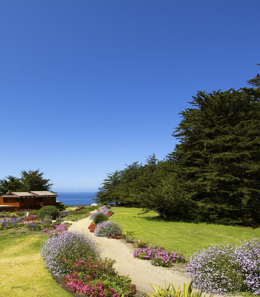 Ragged Point Inn and Resort - photo 36